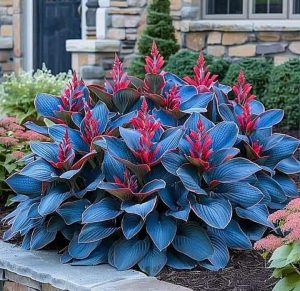 Хоста Грин Фог купить по цене от 669р. в интернет-магазине «Посадика» с доставкой почтой в в Отрадныйе и по всей России – [изображение №1].